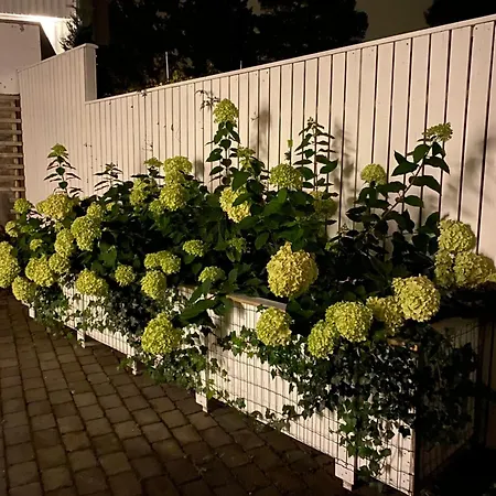 Casa Familia 度假居 滕斯贝格